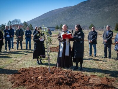 U Bijelom polju časne sestre franjevke posadile 33 bijele masline!