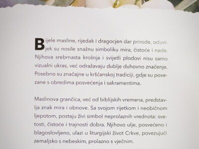 U Bijelom polju časne sestre franjevke posadile 33 bijele masline!