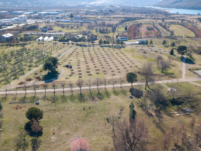 U Bijelom polju časne sestre franjevke posadile 33 bijele masline!