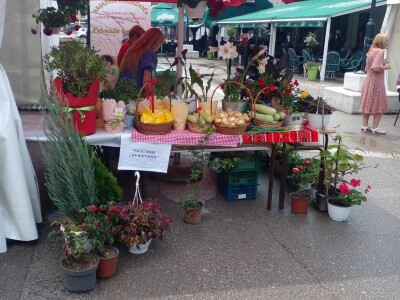 U Bratuncu otvoren sajam "Dani maline" U Bratuncu otvoren sajam "Dani maline"