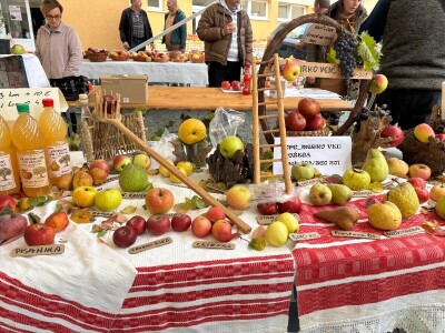 U Cernik, prije svega, po kontakte i savjete iskusnih voćara