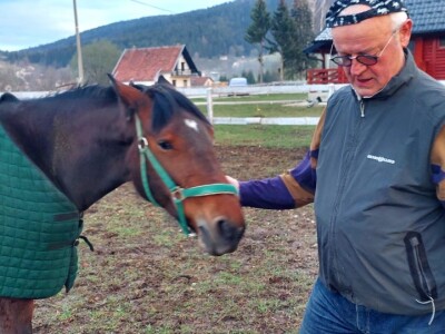 U Driniću niče ergela U Driniću niče ergela