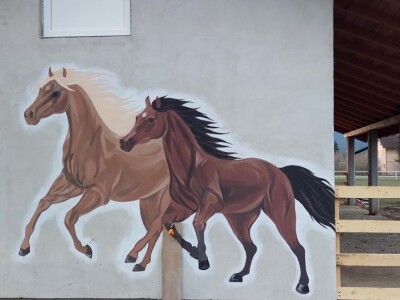 U Driniću niče ergela U Driniću niče ergela