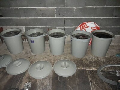 U dva ovogodišnja vrcanja izvadili 500 kilograma meda