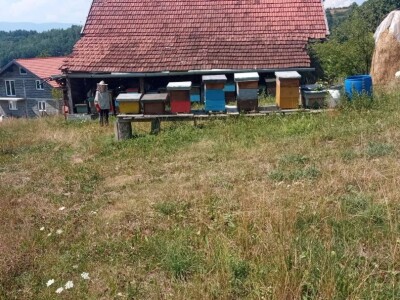 U dva ovogodišnja vrcanja izvadili 500 kilograma meda