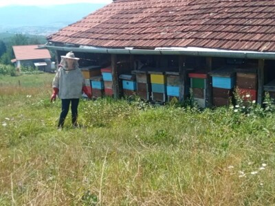 U dva ovogodišnja vrcanja izvadili 500 kilograma meda