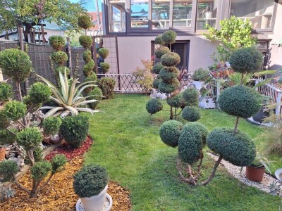 U dvorištu iz bajke uzgaja skoro 100 vrsta agava