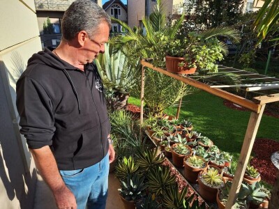 U dvorištu iz bajke uzgaja skoro 100 vrsta agava