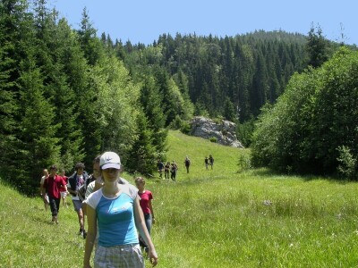 U godovima stoletnog bora ispisana istorija sela
