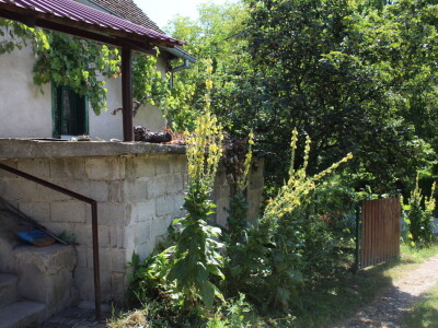 U gostima kod Đure Japarića