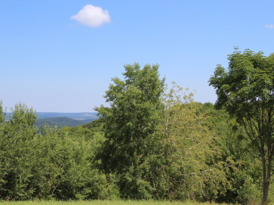 U gostima kod Đure Japarića