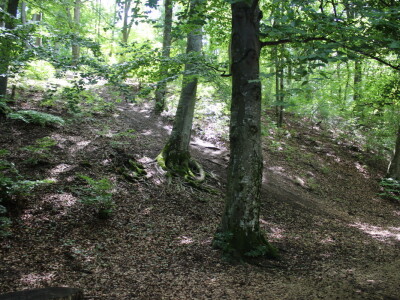 U gostima kod Đure Japarića