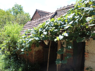 U gostima kod Đure Japarića