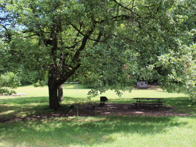 U gostima kod Đure Japarića