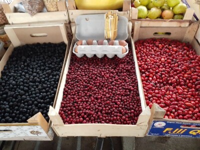 U korpu samo kilogram gljiva dnevno