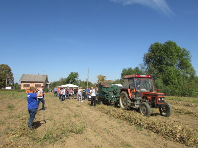 U Kozarskoj Dubici održani dani pasulja U Kozarskoj Dubici održani dani pasulja