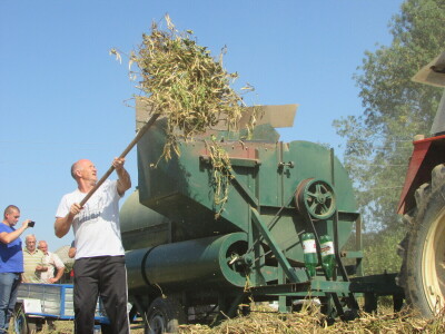 U Kozarskoj Dubici održani dani pasulja U Kozarskoj Dubici održani dani pasulja
