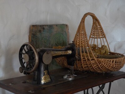 U krajoliku Bogom danom za koze i raštiku svi jedu k'o u matere