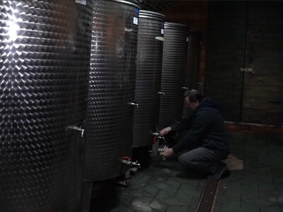 U krajoliku Bogom danom za koze i raštiku svi jedu k'o u matere