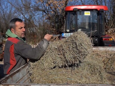 OPG "Viraj Rafael" iz Drinovaca u općini Grude