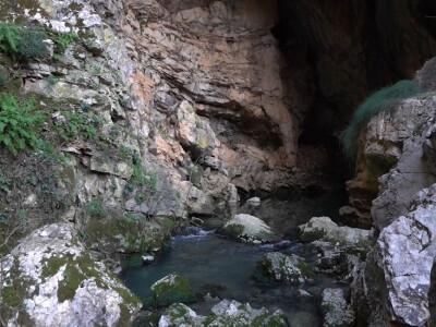 U krajoliku Bogom danom za koze i raštiku svi jedu k'o u matere
