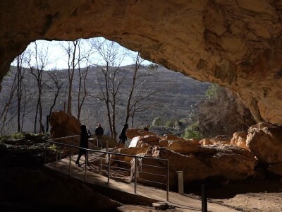 U krajoliku Bogom danom za koze i raštiku svi jedu k'o u matere