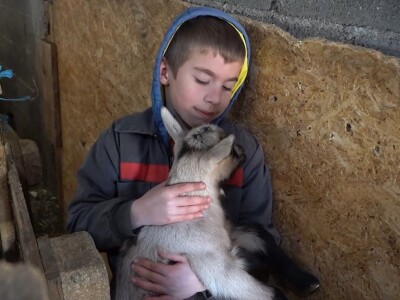 U krajoliku Bogom danom za koze i raštiku svi jedu k'o u matere
