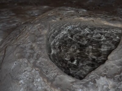 U krajoliku Bogom danom za koze i raštiku svi jedu k'o u matere