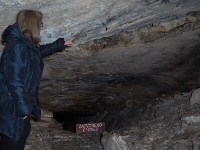 U krajoliku Bogom danom za koze i raštiku svi jedu k'o u matere