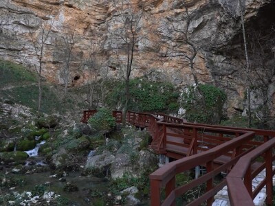 U krajoliku Bogom danom za koze i raštiku svi jedu k'o u matere