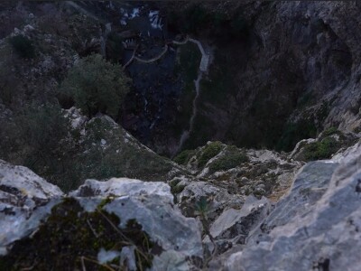 U krajoliku Bogom danom za koze i raštiku svi jedu k'o u matere