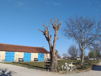 U krajoliku Bogom danom za koze i raštiku svi jedu k'o u matere