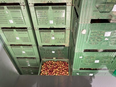 U Križu otvoren novi Logističko distribucijski centar za jabuke