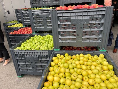 U Križu otvoren novi Logističko distribucijski centar za jabuke