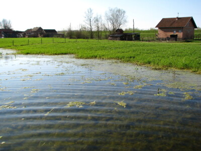 U Lijevče polju priželjkuju kišu , a u Posavini više sunca