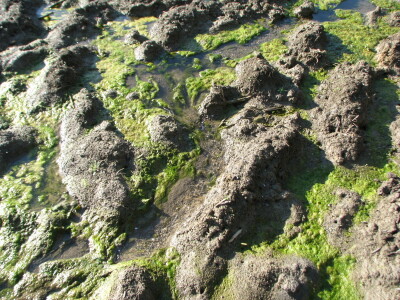 U Lijevče polju priželjkuju kišu , a u Posavini više sunca