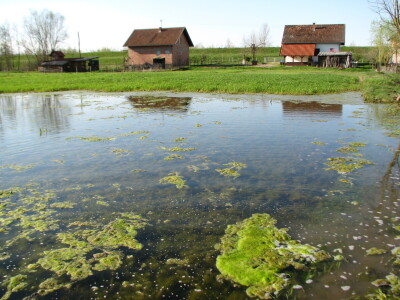 U Lijevče polju priželjkuju kišu , a u Posavini više sunca