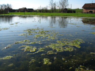 U Lijevče polju priželjkuju kišu , a u Posavini više sunca