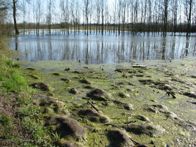 U Lijevče polju priželjkuju kišu , a u Posavini više sunca