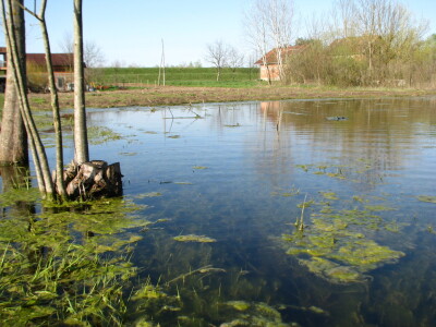 U Lijevče polju priželjkuju kišu , a u Posavini više sunca