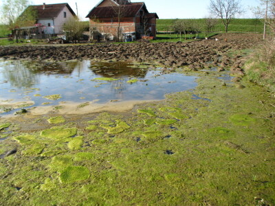 U Lijevče polju priželjkuju kišu , a u Posavini više sunca