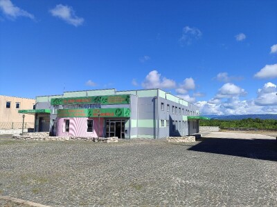 U LjUBUŠKOM NAJVEĆI MASLINIK NA BALKANU