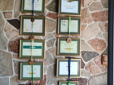 U LjUBUŠKOM NAJVEĆI MASLINIK NA BALKANU