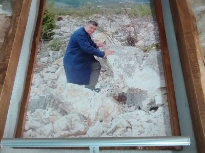 U LjUBUŠKOM NAJVEĆI MASLINIK NA BALKANU