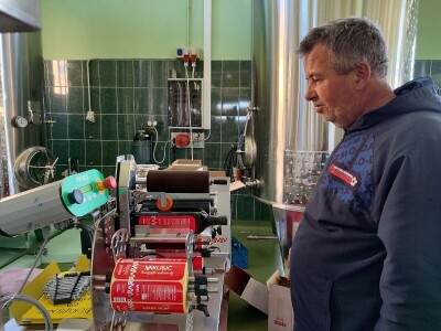 U LjUBUŠKOM NAJVEĆI MASLINIK NA BALKANU