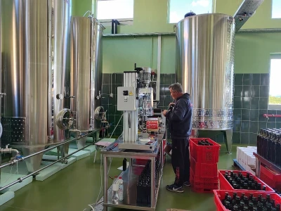 U LjUBUŠKOM NAJVEĆI MASLINIK NA BALKANU