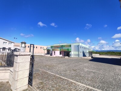 U LjUBUŠKOM NAJVEĆI MASLINIK NA BALKANU