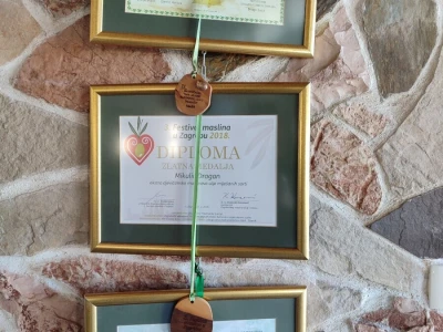 U LjUBUŠKOM NAJVEĆI MASLINIK NA BALKANU