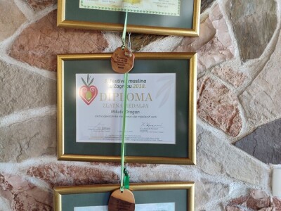 U LjUBUŠKOM NAJVEĆI MASLINIK NA BALKANU