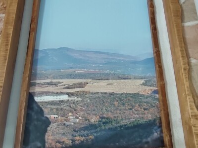 U LjUBUŠKOM NAJVEĆI MASLINIK NA BALKANU